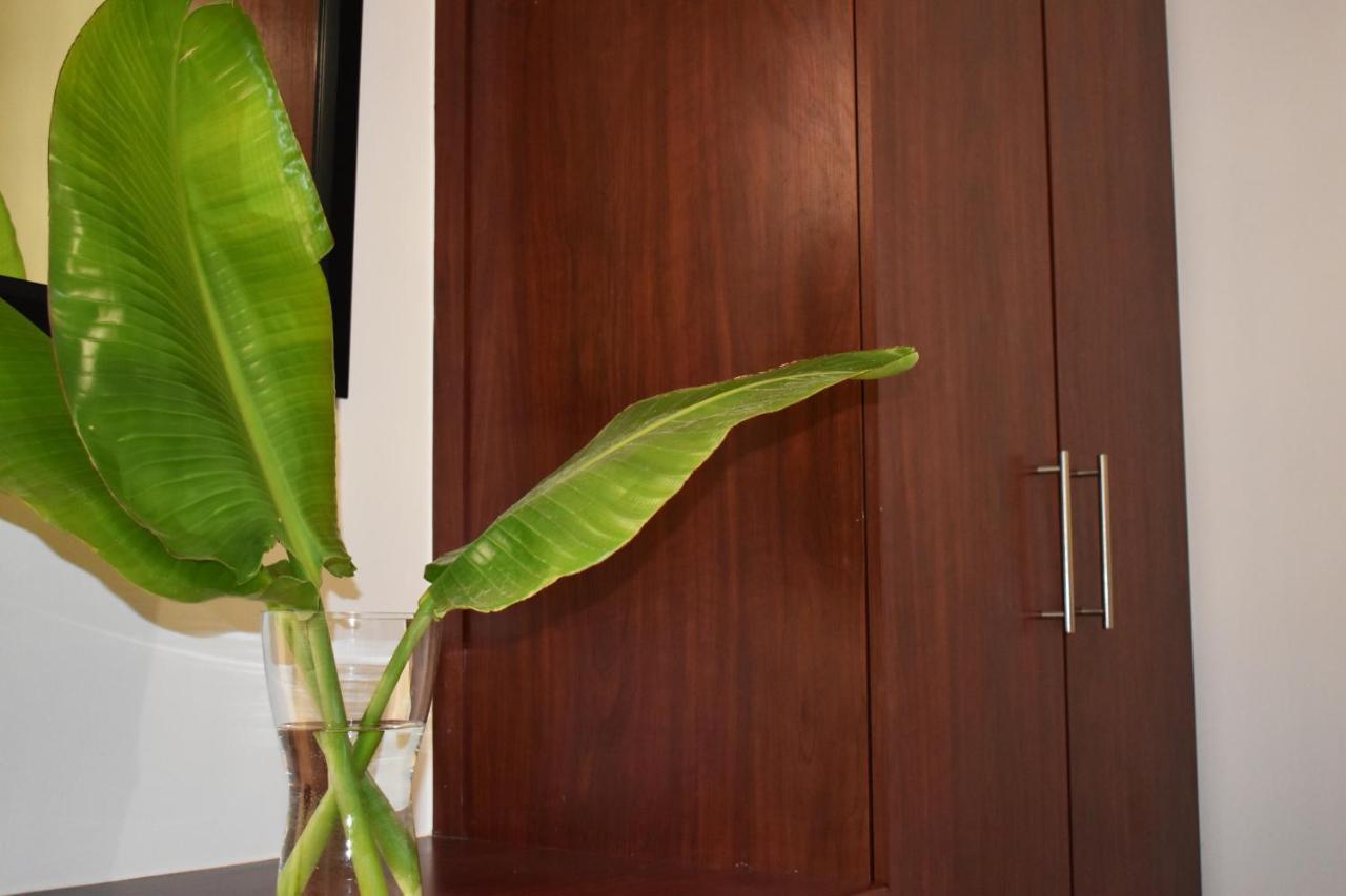 The Botanical House Apartment Съмърсет Уест Екстериор снимка