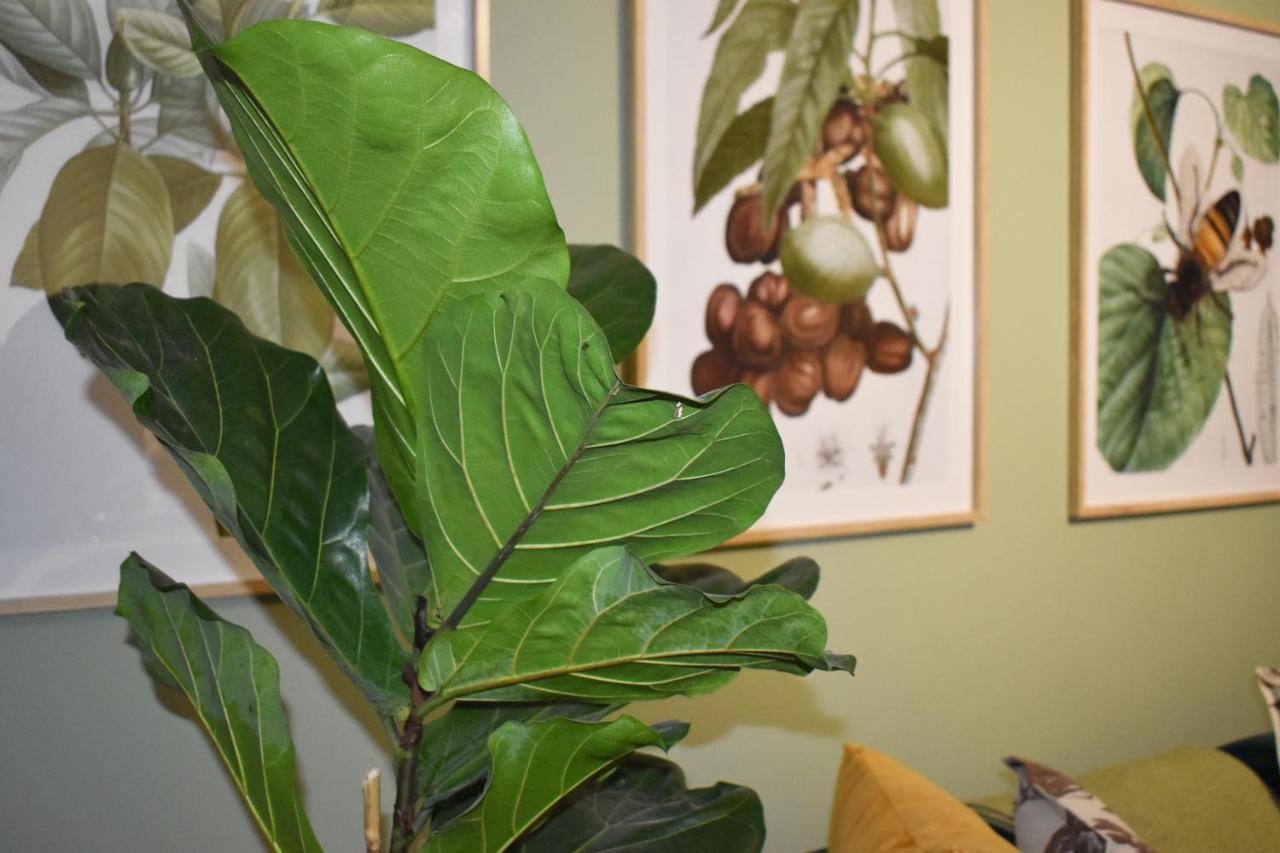 The Botanical House Apartment Съмърсет Уест Екстериор снимка